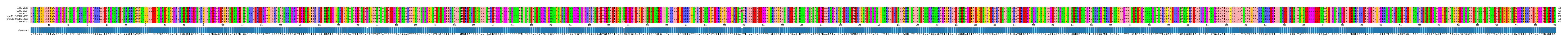 Multiple Alignments (by translate haplotype similarity)