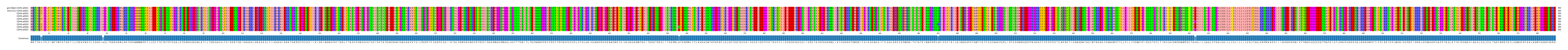 Multiple Alignments (by translate haplotype frequency)