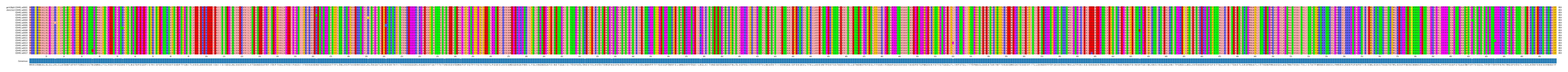 Multiple Alignments (by translate haplotype frequency)