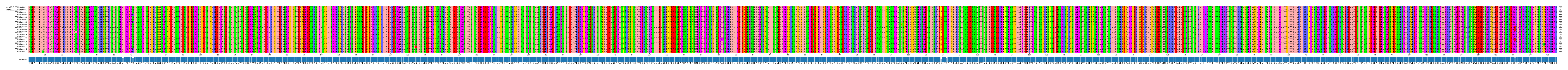 Multiple Alignments (by translate haplotype frequency)
