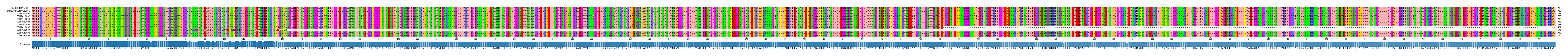Multiple Alignments (by translate haplotype frequency)