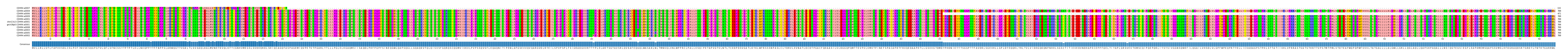 Multiple Alignments (by translate haplotype similarity)