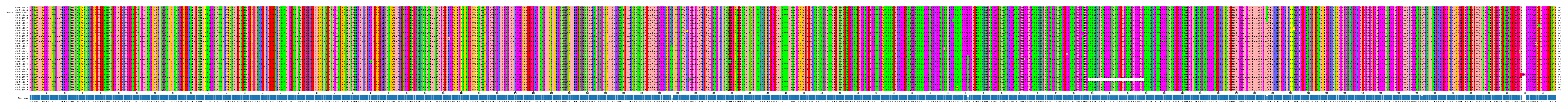 Multiple Alignments (by translate haplotype similarity)