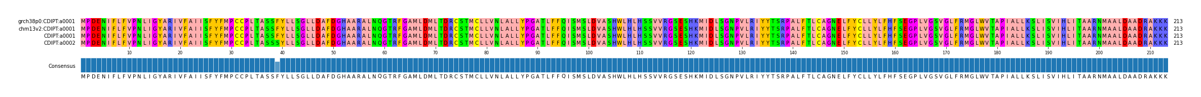 Multiple Alignments (by translate haplotype similarity)