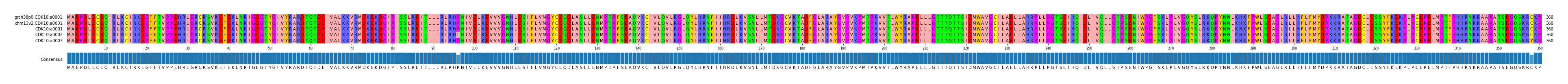 Multiple Alignments (by translate haplotype frequency)