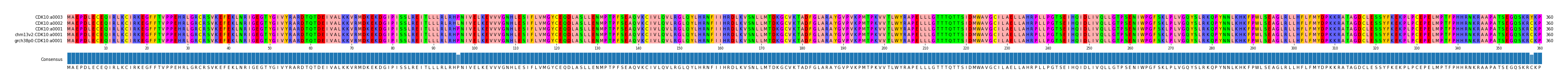 Multiple Alignments (by translate haplotype similarity)