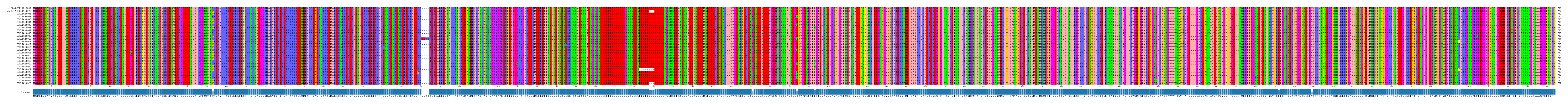 Multiple Alignments (by translate haplotype frequency)
