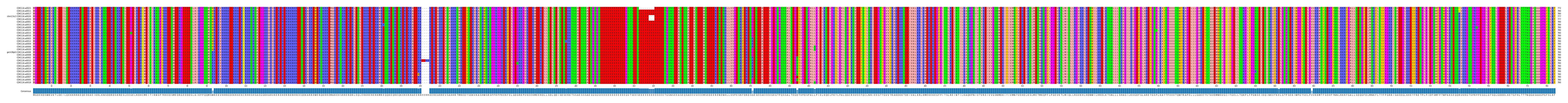 Multiple Alignments (by translate haplotype similarity)