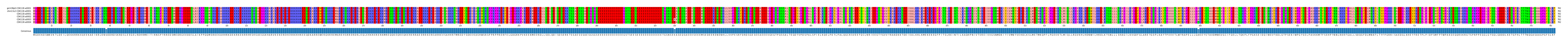 Multiple Alignments (by translate haplotype frequency)