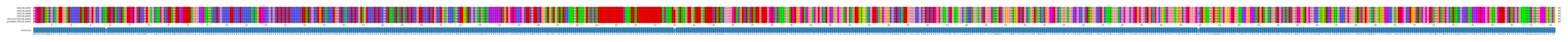 Multiple Alignments (by translate haplotype similarity)