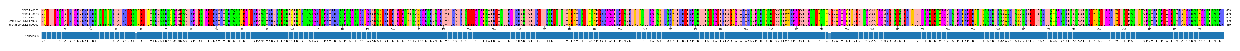 Multiple Alignments (by translate haplotype similarity)