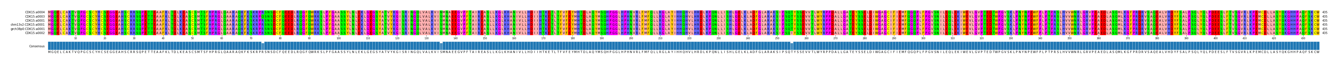 Multiple Alignments (by translate haplotype similarity)
