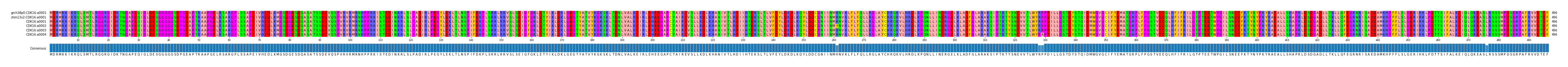 Multiple Alignments (by translate haplotype frequency)