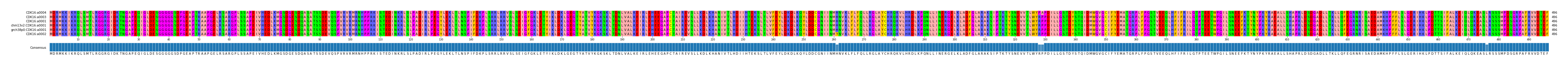 Multiple Alignments (by translate haplotype similarity)