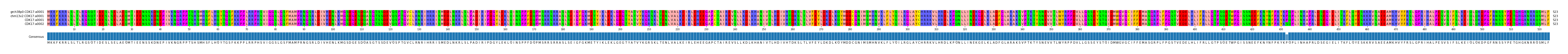Multiple Alignments (by translate haplotype similarity)