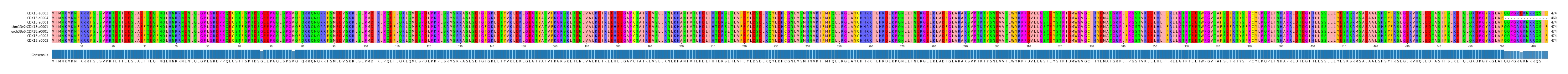 Multiple Alignments (by translate haplotype similarity)