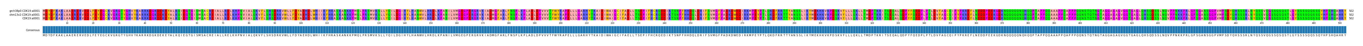 Multiple Alignments (by translate haplotype similarity)