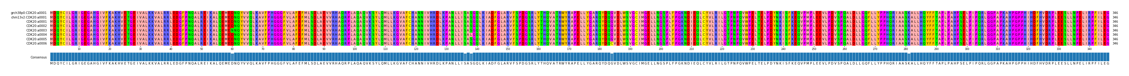 Multiple Alignments (by translate haplotype frequency)
