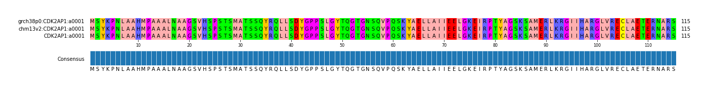 Multiple Alignments (by translate haplotype similarity)