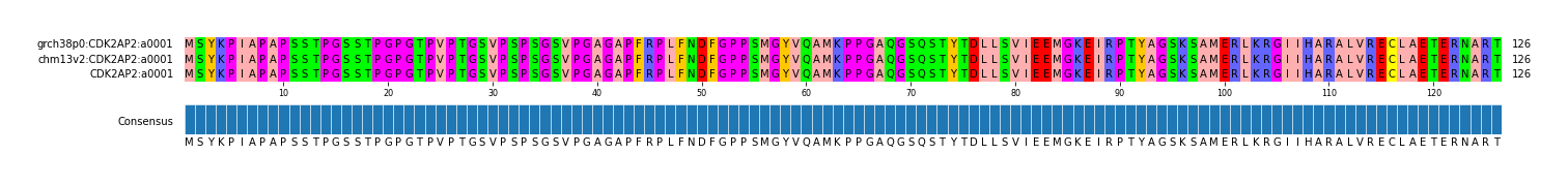Multiple Alignments (by translate haplotype similarity)