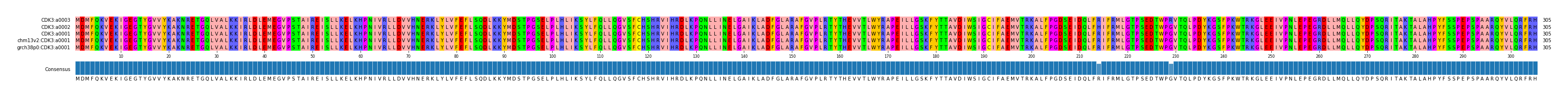Multiple Alignments (by translate haplotype similarity)