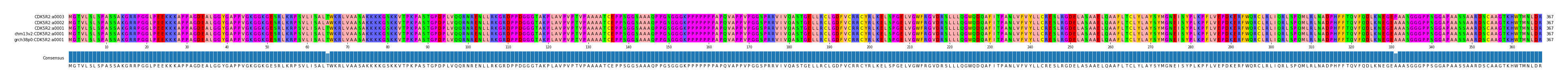 Multiple Alignments (by translate haplotype similarity)