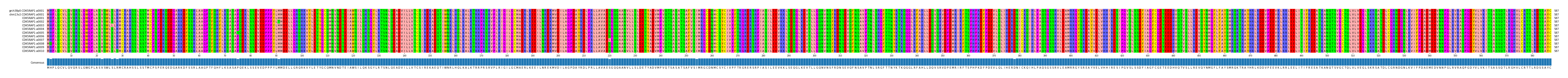 Multiple Alignments (by translate haplotype frequency)