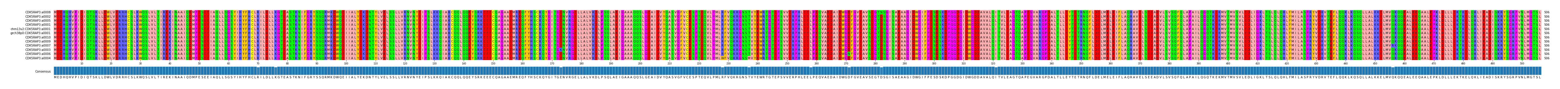 Multiple Alignments (by translate haplotype similarity)