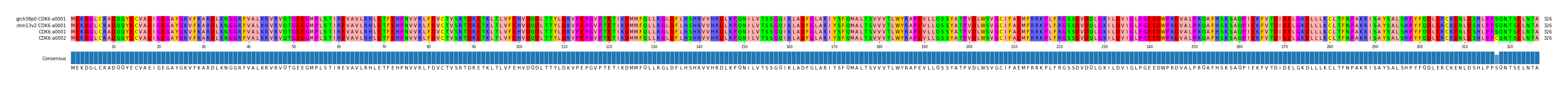 Multiple Alignments (by translate haplotype similarity)