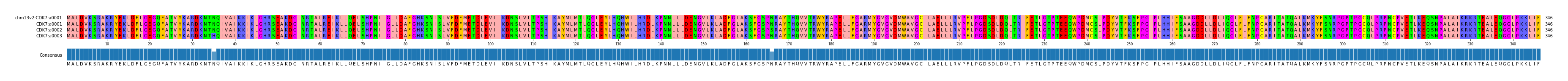 Multiple Alignments (by translate haplotype frequency)