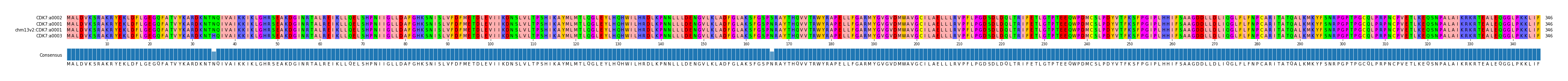 Multiple Alignments (by translate haplotype similarity)
