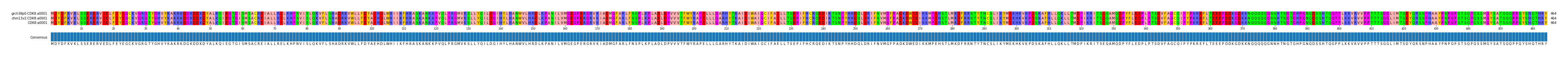 Multiple Alignments (by translate haplotype frequency)