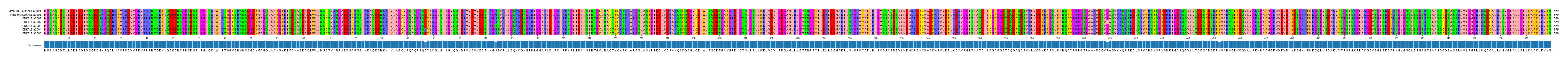 Multiple Alignments (by translate haplotype frequency)