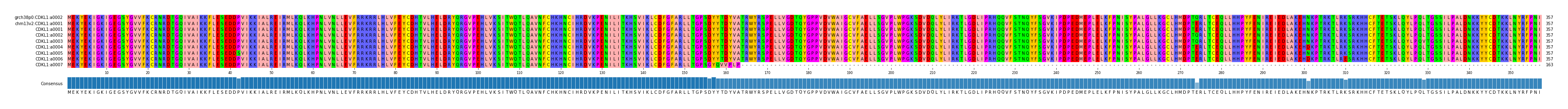 Multiple Alignments (by translate haplotype frequency)