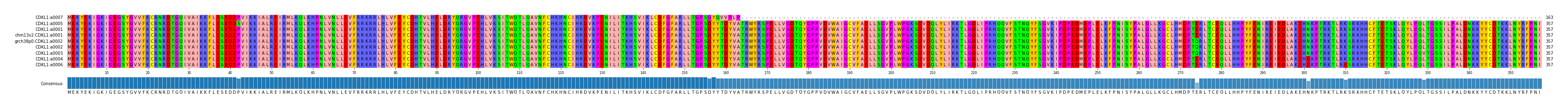 Multiple Alignments (by translate haplotype similarity)