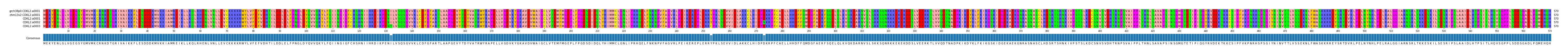 Multiple Alignments (by translate haplotype frequency)