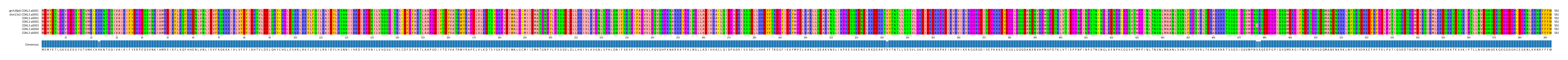 Multiple Alignments (by translate haplotype frequency)