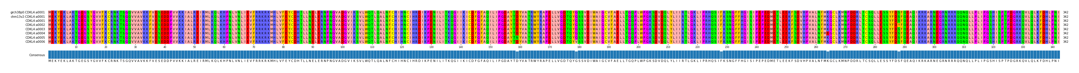 Multiple Alignments (by translate haplotype frequency)