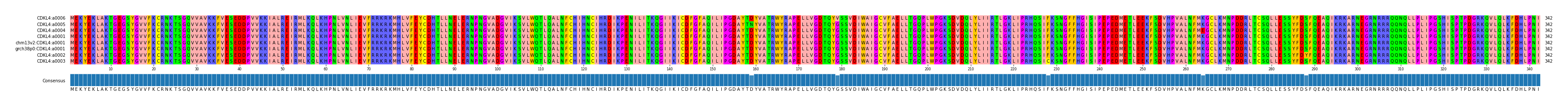 Multiple Alignments (by translate haplotype similarity)