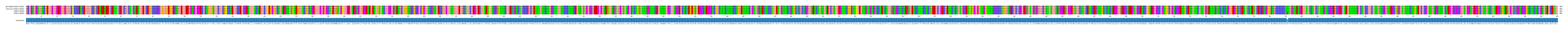 Multiple Alignments (by translate haplotype frequency)