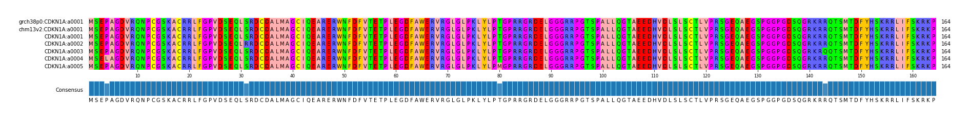Multiple Alignments (by translate haplotype frequency)