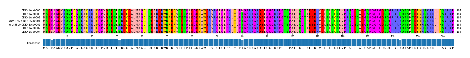 Multiple Alignments (by translate haplotype similarity)