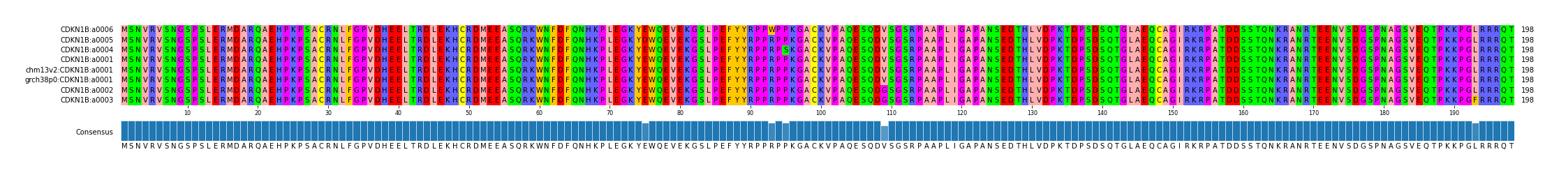 Multiple Alignments (by translate haplotype similarity)