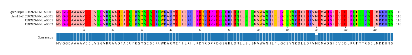 Multiple Alignments (by translate haplotype frequency)