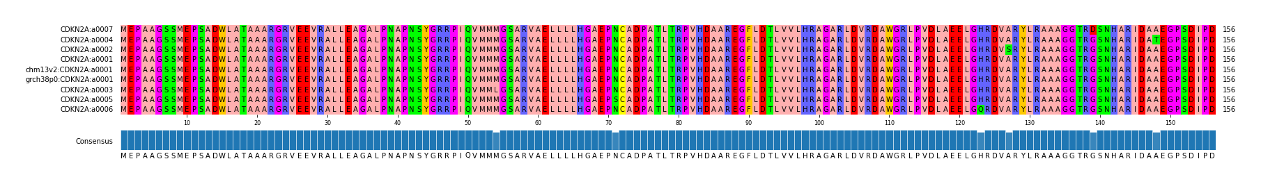 Multiple Alignments (by translate haplotype similarity)