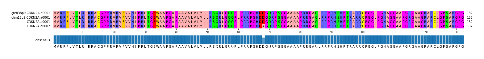 Multiple Alignments (by translate haplotype frequency)