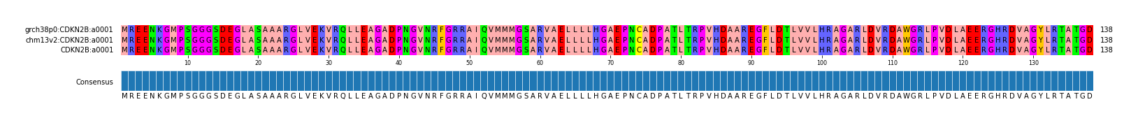 Multiple Alignments (by translate haplotype frequency)