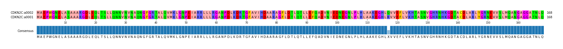 Multiple Alignments (by translate haplotype similarity)