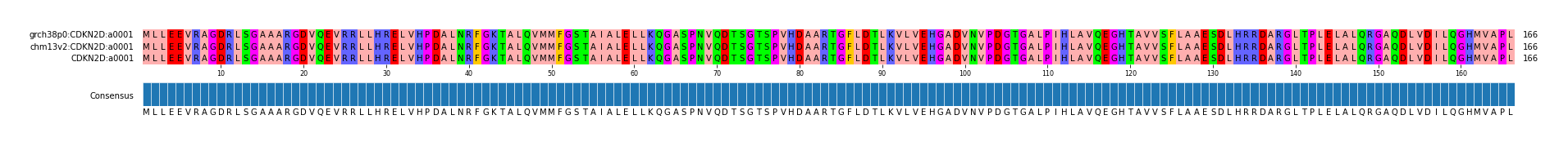 Multiple Alignments (by translate haplotype similarity)