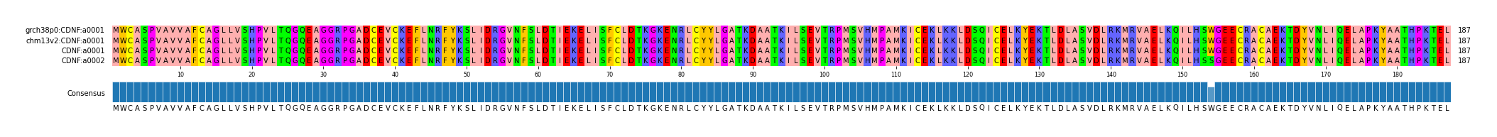 Multiple Alignments (by translate haplotype similarity)